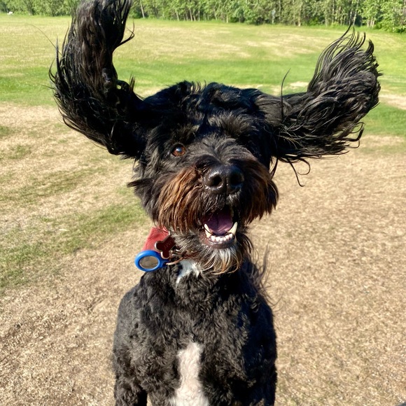 🤩SALE!!💕EVERYTHING MARKED WITH 🤩💕🤩IN MY CLOSET 40%- 85% OFF🤩💕🤩 - Picture 1 of 1